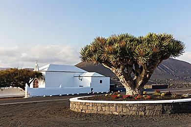 《巫师3》次世代版PC新补丁上线 改善40系显卡稳定性