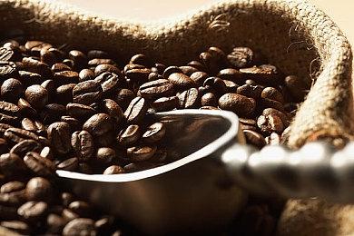 新一期Fami通评分出炉 《霍格沃茨之遗》37分白金殿堂