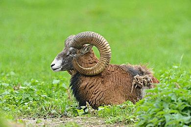 安装《博德之门3》正式版之前 先删除体验版以及存档